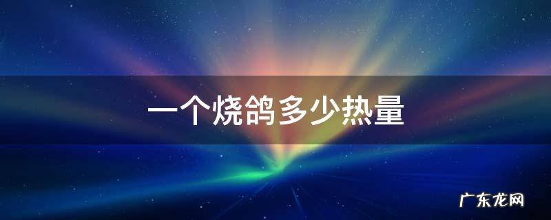 一个烧鸽多少热量 鸽子热量多少