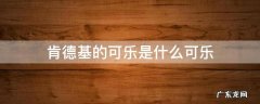 肯德基的可乐是什么可乐 麦当劳的可乐是什么可乐