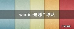 warrior是哪个球队 warrior是哪个球队服