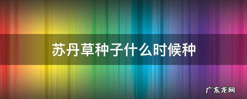 苏丹草种子什么时候种 苏丹草什么时候播种