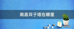 南昌双子塔里面是干什么的 南昌双子塔在哪里
