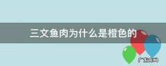 三文鱼肉为什么是橙色的 三文鱼 橙色