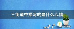 三衢道中描写了作者什么样的心情 三衢道中描写的是什么心情