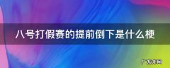 八号打假赛的提前倒下是什么梗
