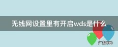 无线网设置里有开启wds是什么 无线设置wds需要开启吗