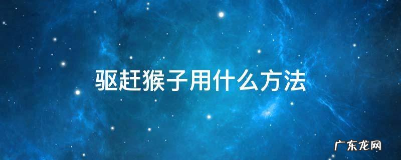 驱赶猴子用什么方法 怎么驱赶猴子