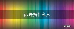 什么叫做pv pv是指什么人
