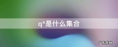 q*是什么集合 q是什么集合的缩写