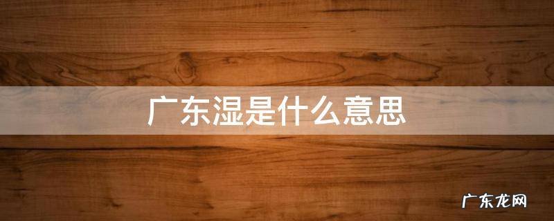 广东湿气是什么意思 广东湿是什么意思