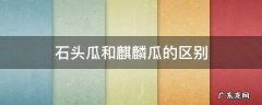 石头瓜和麒麟瓜的区别 石头瓜是麒麟瓜吗