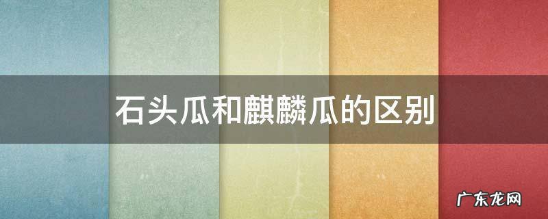 石头瓜和麒麟瓜的区别 石头瓜是麒麟瓜吗