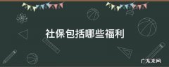 社保包括哪些福利 社会福利包括社会保险吗