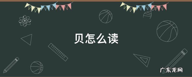 贝怎么读 拼音 贝怎么读