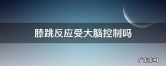 膝跳反应受大脑控制吗 膝跳反射受大脑控制吗