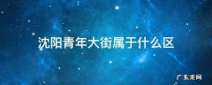 沈阳青年大街属于什么区 沈阳沈河区青年大街属于什么街道