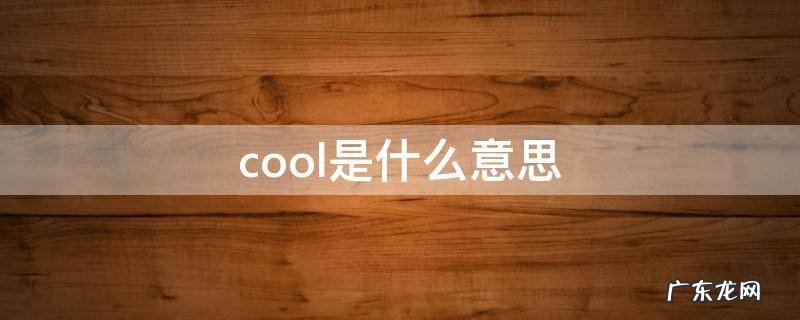 cool是什么意思翻译成中文 cool是什么意思