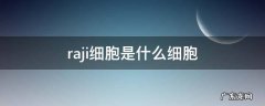 raji细胞培养 raji细胞是什么细胞