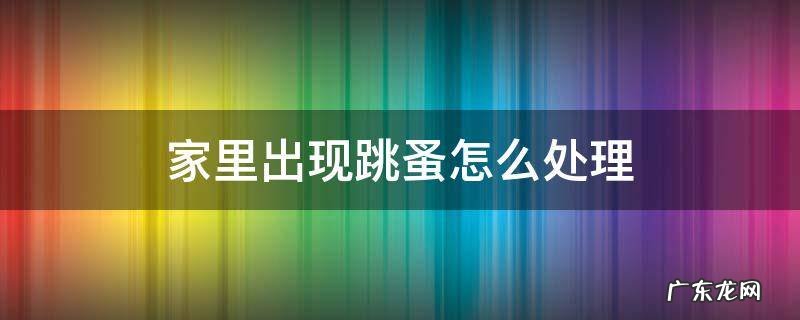 家里出现跳蚤怎么处理 家里面有跳蚤怎么处理