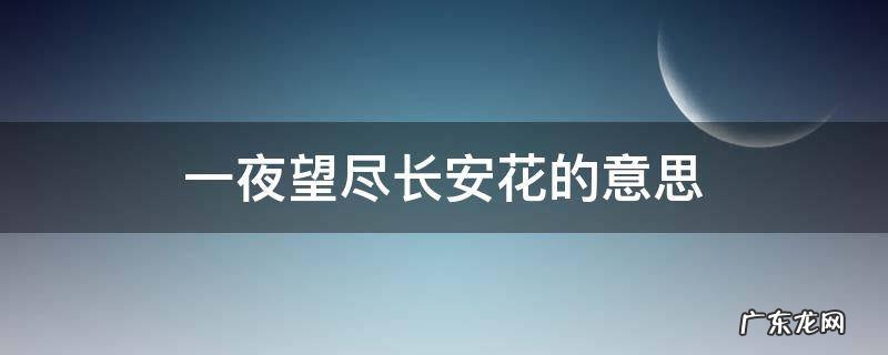 一夜望尽长安花的意思 一夜看尽长安花是哪首诗