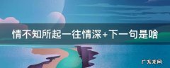 情不知所起一往情深是什么意思 情不知所起一往情深