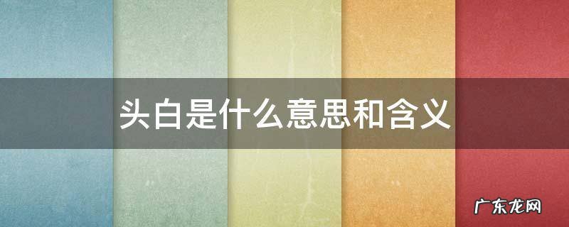 头白是词语吗 头白是什么意思和含义