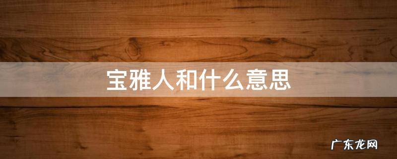 宝雅人和什么意思 宝雅是什么意思