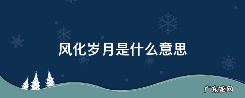 风化岁月是什么意思 风华岁月的解释