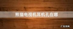 熊猫有耳孔吗 熊猫电视机耳机孔在哪