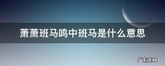 萧萧班马鸣 萧萧班马鸣中班马是什么意思