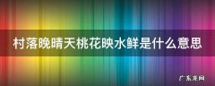 村落晚晴天桃花映水鲜是什么意思 村落晚晴天下一句