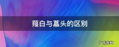 薤白与藠头的区别图片 薤白与藠头的区别