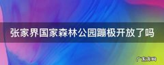 张家界国家森林公园蹦极开放了吗今天 张家界国家森林公园蹦极开放了吗