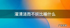 濯清涟而不妖比喻什么 濯清涟而不妖的含义