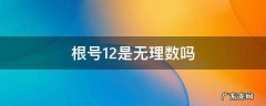 根号下12是无理数吗 根号12是无理数吗