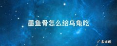 墨鱼骨可以给乌龟吃吗 墨鱼骨怎么给乌龟吃