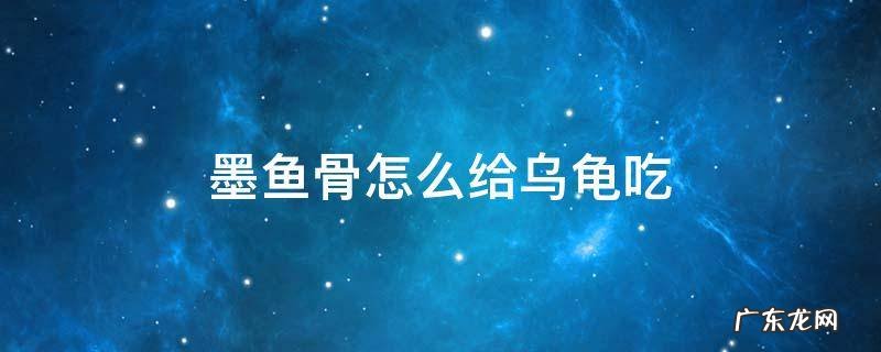 墨鱼骨可以给乌龟吃吗 墨鱼骨怎么给乌龟吃