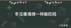 冬瓜像海绵一样能吃吗 冬瓜有点像海绵