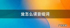耸怎么读音组词 耸的拼音和组词组