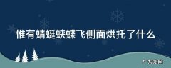 惟有蜻蜓蛱蝶飞的作用是以什么衬什么 惟有蜻蜓蛱蝶飞侧面烘托了什么