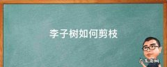 李子树如何剪枝 李子树如何剪枝 百度网盘