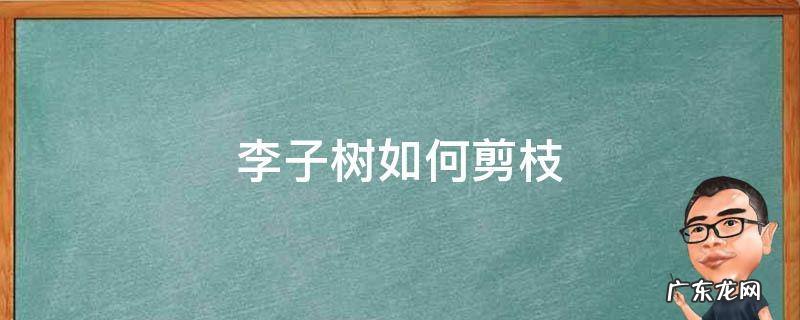 李子树如何剪枝 李子树如何剪枝 百度网盘