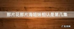 那片花那片海三姐妹结局 那片花那片海姐妹相认是第几集