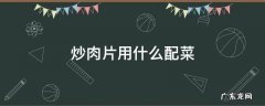 炒肉片用什么配菜 炒肉用什么配菜好