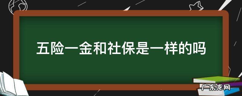 五险一金和社保是一样的吗 五险一金和社保一样吗