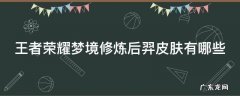 王者荣耀梦境修炼后羿皮肤有哪些 王者荣耀梦境修炼后羿皮肤黄金射手座能用吗