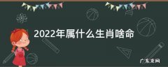 2022年属什么生肖啥命 2022年属什么生肖属相什么命