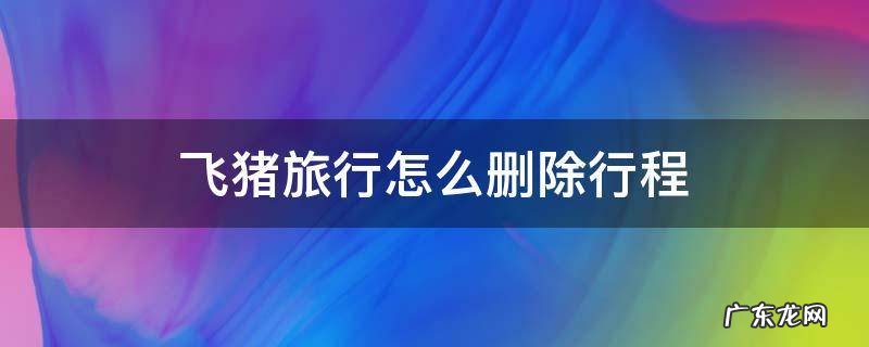 飞猪旅行怎么删除行程 飞猪旅程明细怎么删除