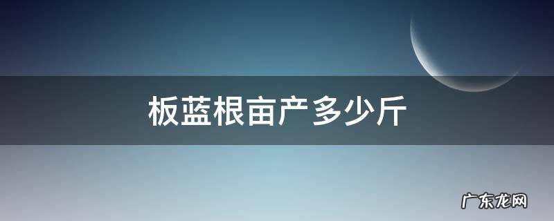 板蓝根亩产多少斤价格多少钱 板蓝根亩产多少斤