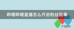 哔哩哔哩直播怎么开启粉丝勋章 哔哩哔哩如何粉丝勋章