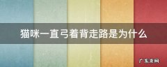 猫咪一直弓着背走路是为什么 猫咪总是弓背走路